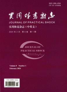 实用休克